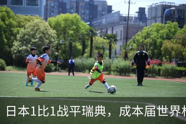 日本1比1战平瑞典，成本届世界杯首支出线的亚洲球队，下场将对阵巴西